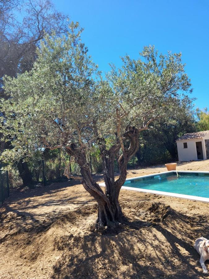 Villa Gitedelea Aubignan Eksteriør billede